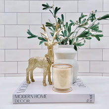 Load image into Gallery viewer, Winter Hearth 11 oz Candle