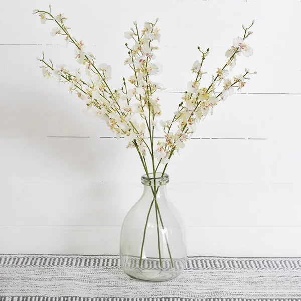 White Dance Orchid Stems